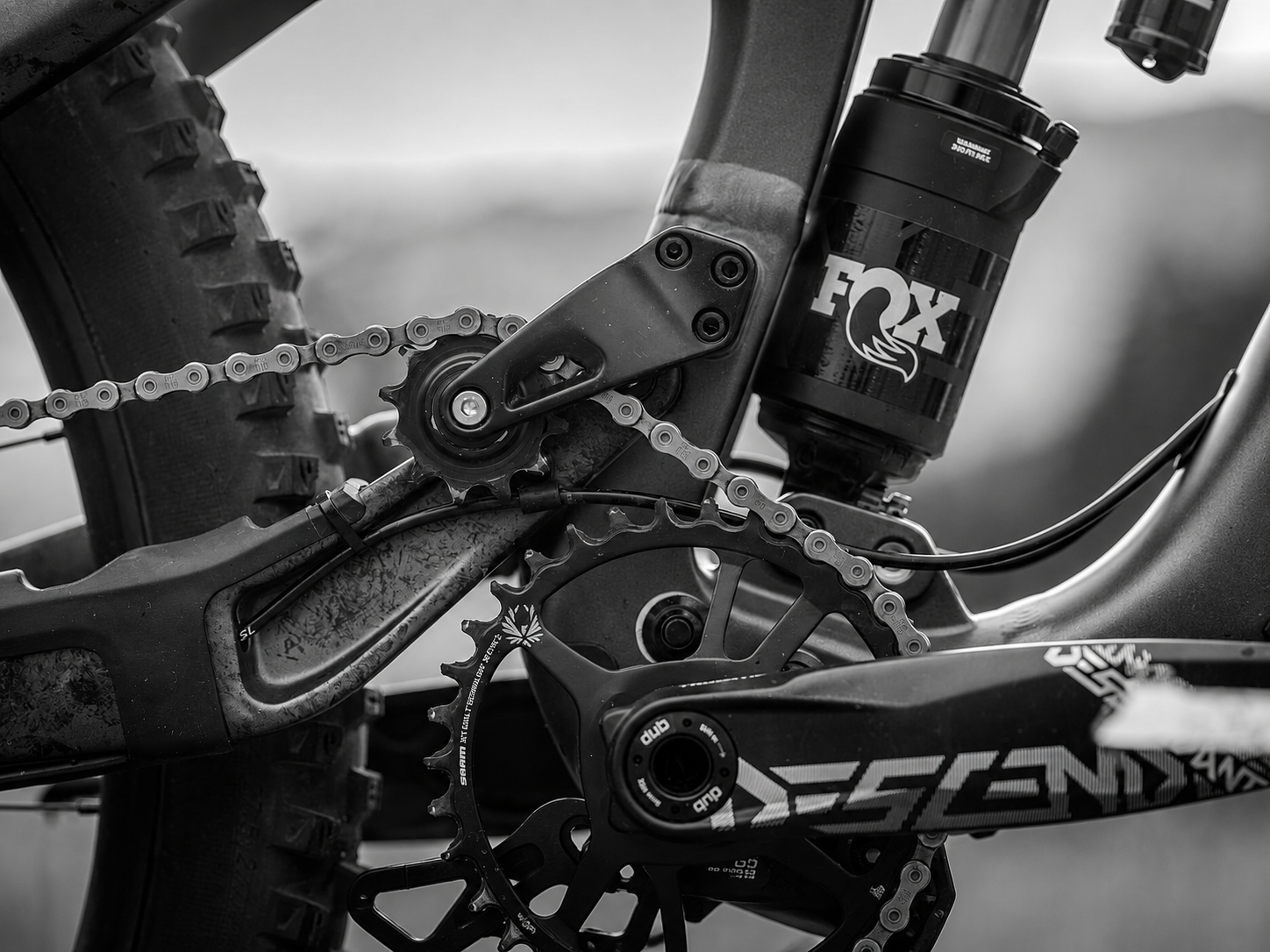 Detailaufnahme eines Mountainbike-Antriebsstrangs